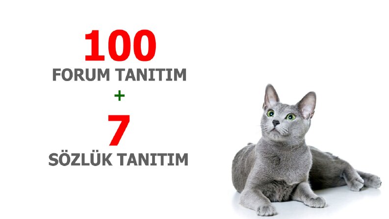 İş örneğim