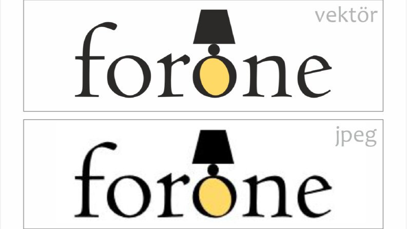 Forone Vektör Çalışması