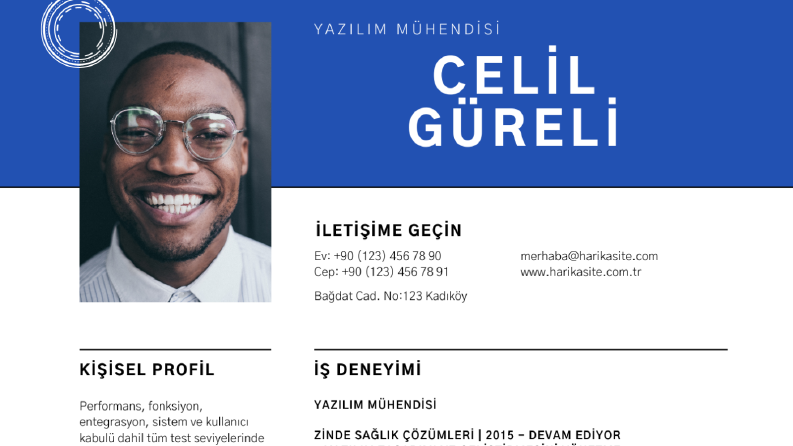 PROFESYONEL CV (ÖZGEÇMİŞ)
