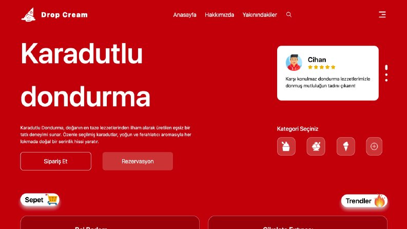E-ticaret web site