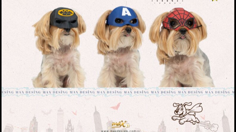 Max Design Köpek Maskeleri ve Anahtarlıkları