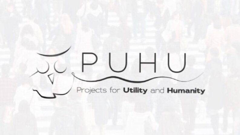 Puhu Araştırma ve Danışmanlık Logo