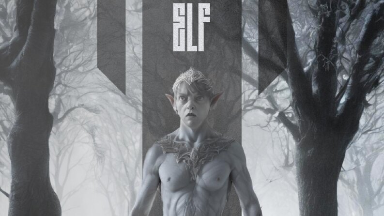 The Last Elf