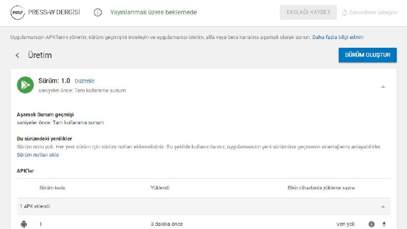 Web Sitesini Mobil Uygulama Haline Getirme