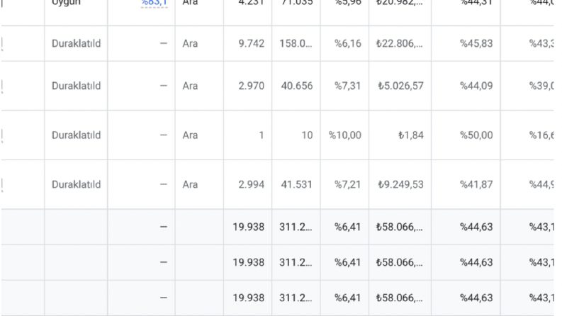 Google Ads Kampanya Yönetimi