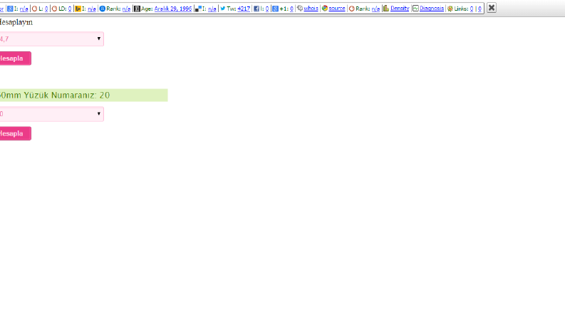 Web Yazılım