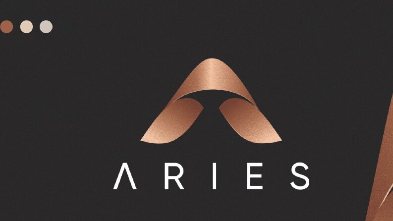 Aries Ambalaj Logo Tasarımı