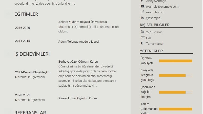 Göz Alıcı Cv Tasarımları 