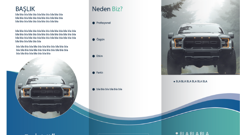 Broşür ve Katalog