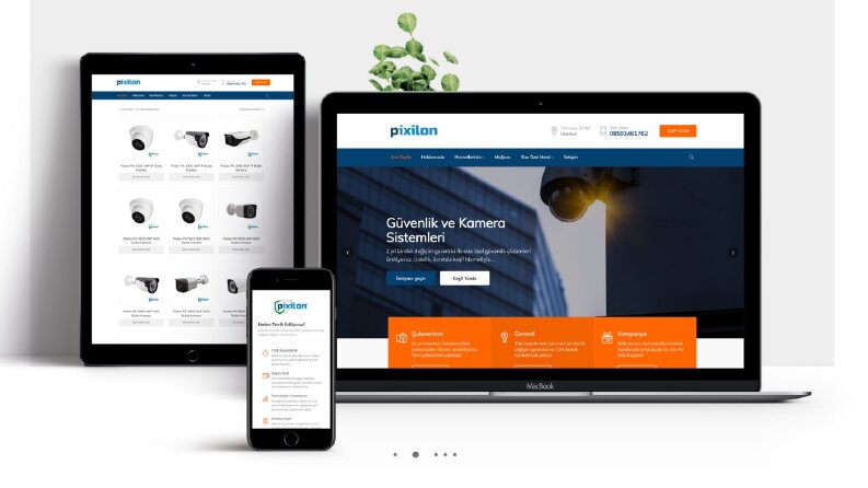 Profesyonel Web Sitesi Yönetimi