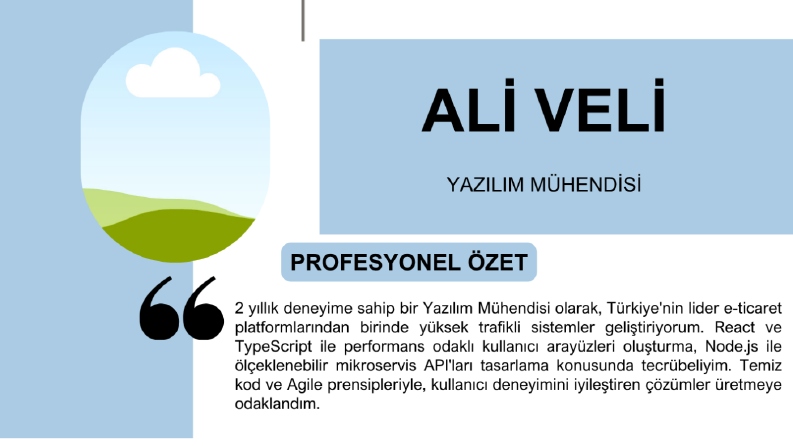 Bir Mühendis için Modern ve Profesyonel CV Tasarımı