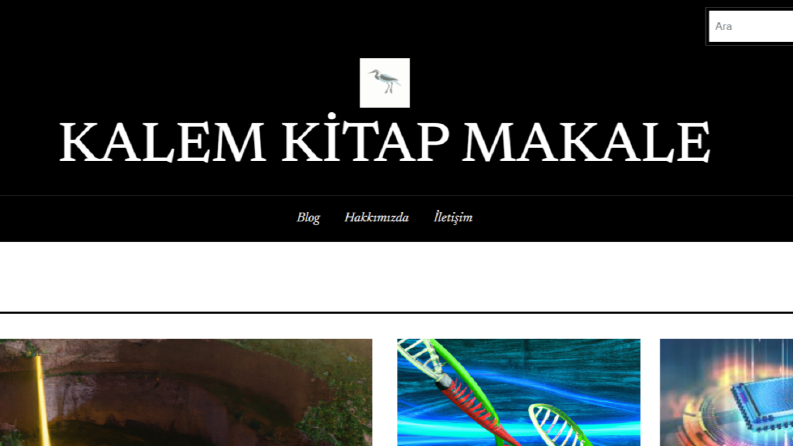 Web Tasarımı