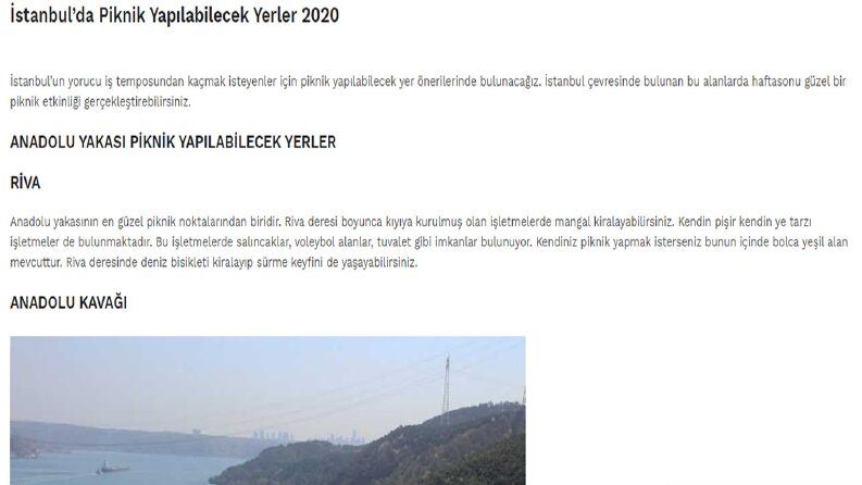 Turizm Makale Örneği
