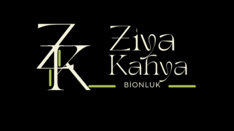 Logo Tasarımları