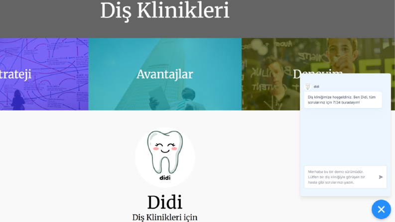 Didi - Diş Klinikleri için Web Sitesi Destek Asistanı