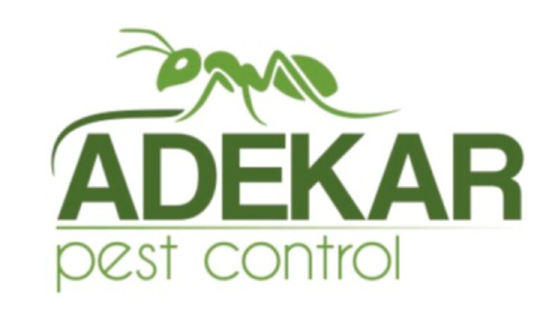logo/kurumsal kimlik