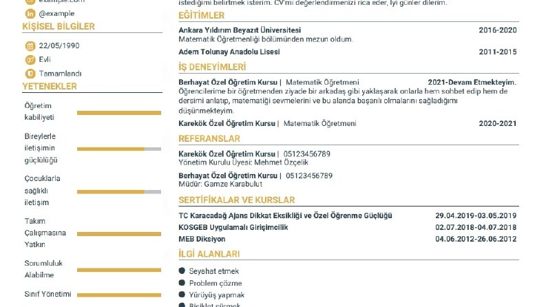 Göz Alıcı Cv Tasarımları 