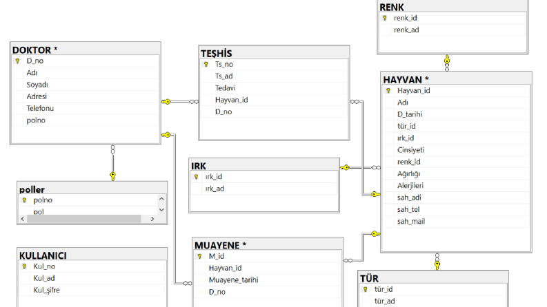 SQL VERİTABANI