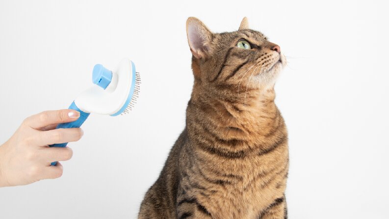Kedi Tarağı ve Buz Kalıbı Ürün Çekimleri