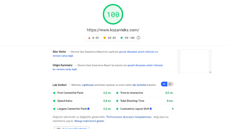 kozanteks.com Litespeed Optimizasyonu