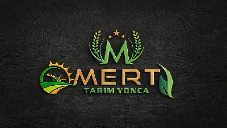 Logo Tasarımlarımız