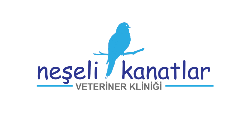 Neşeli Kanatlar Kuş Veteriner Kliniği Logo  Tasarımı