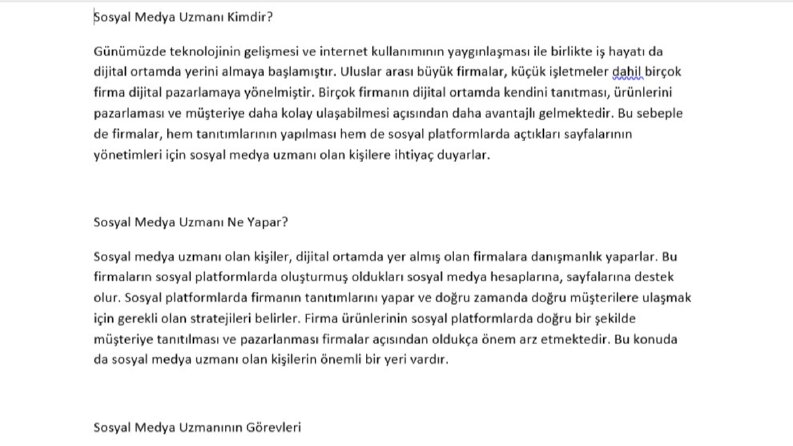 SEO Uyumlu Makale