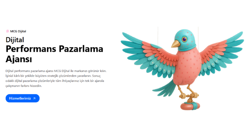 Profesyonel Web Tasarım ve Geliştirme