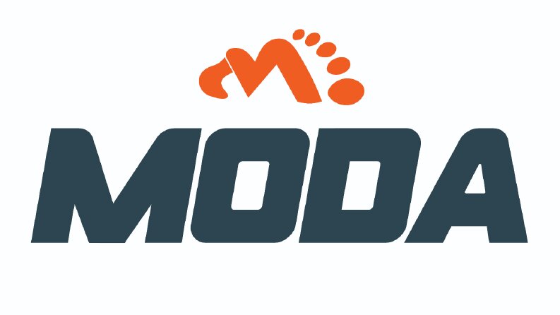 Moda Ayakkabı