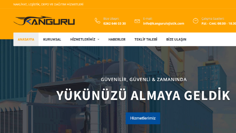 Wordpress Kurumsal Web Site Kurulumu