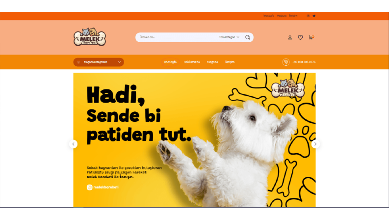 Melek Hareketi Tasarımı