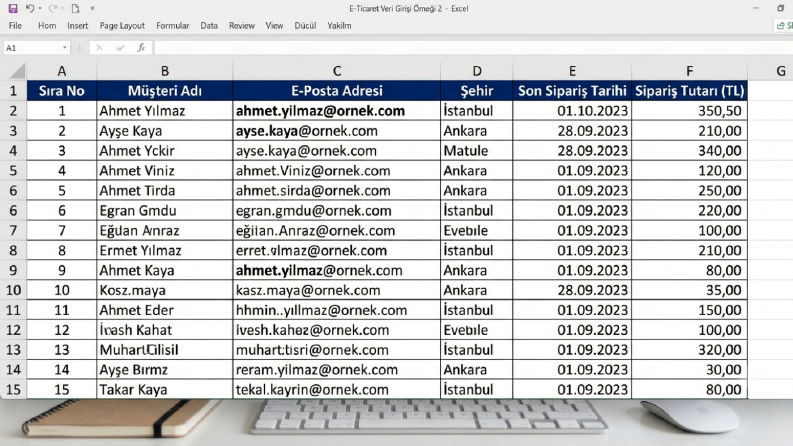 E-Ticaret Müşteri ve Sipariş Veri Girişi