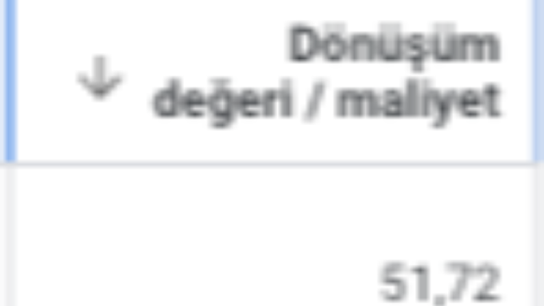 Google Shopping ve Search Reklamları