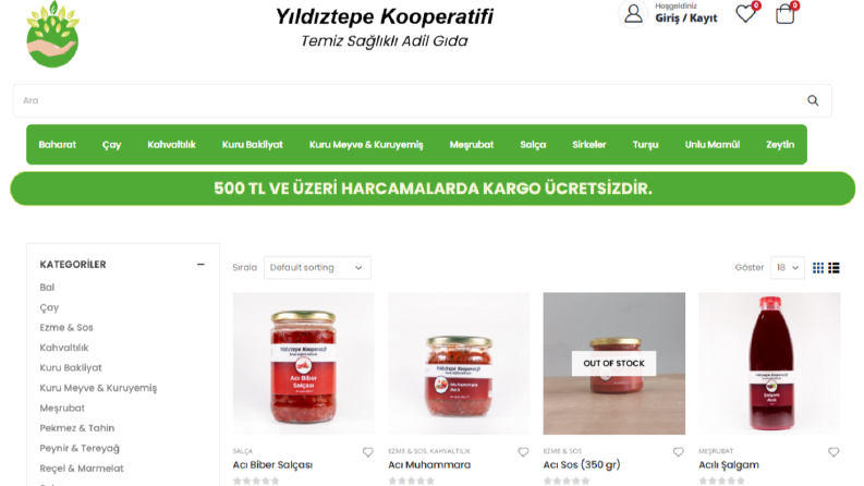 SEO Uyumlu Makale ve İçerik Üretimi