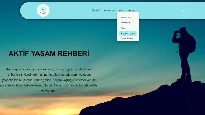 Web Site Tasarımları