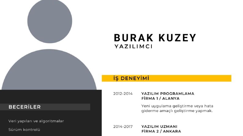 cv yazımı ve düzenlemesi