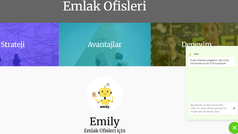 Emily - Emlak Ofisleri için Web Sitesi Destek Asistanı
