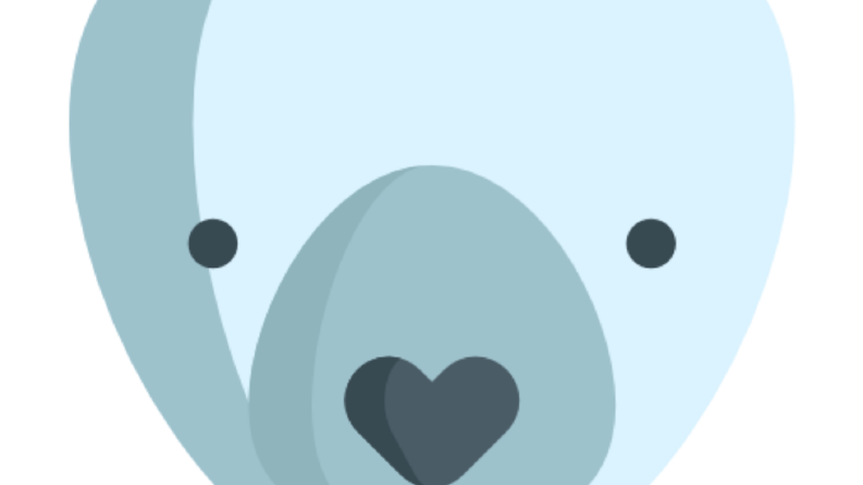 PracticoBear