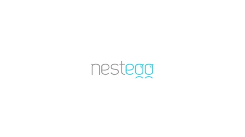 NestEgg - Technology Startup
