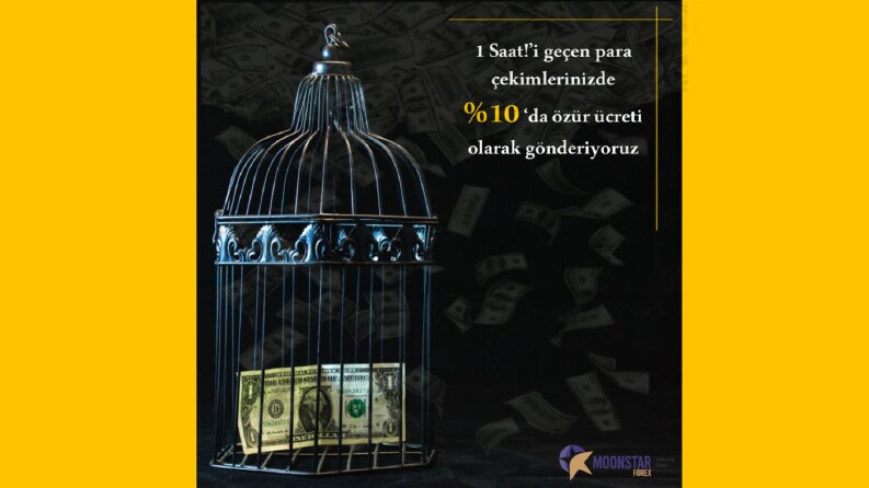 Forex Sosyal Medya Tasarımları