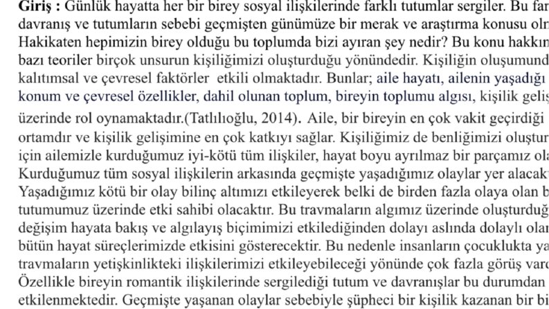 Araştırma Ödevi