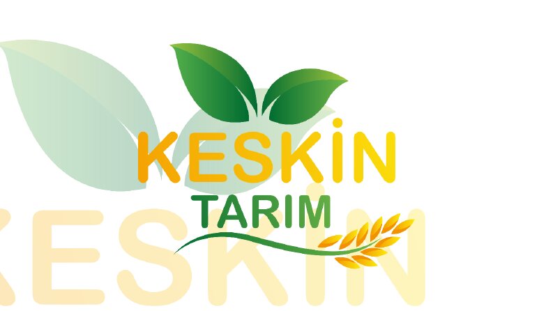 Keskin Tarım logo çalışması