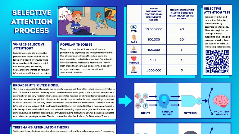 Psikoloji Selective Attention Process Konusu Sunum Tasarımı