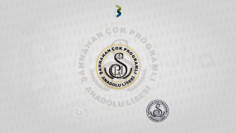Şahnahan Çok Programlı Anadolu Lisesi Logotayp Tasarımı