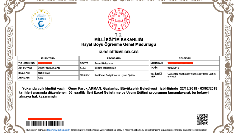 İleri Düzey Excel ve Makro (VBA) ile Profesyonel Raporlama