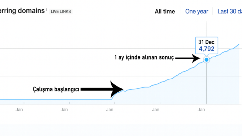 Backlink Satın Alma Hizmeti