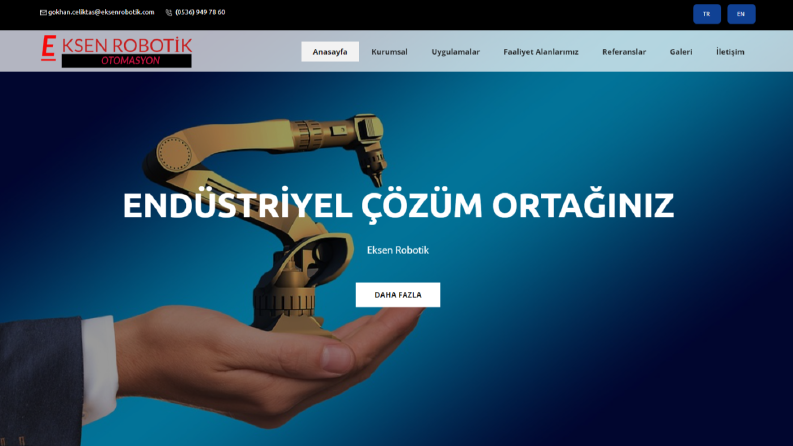 Profesyonel Web Site Tasarımları