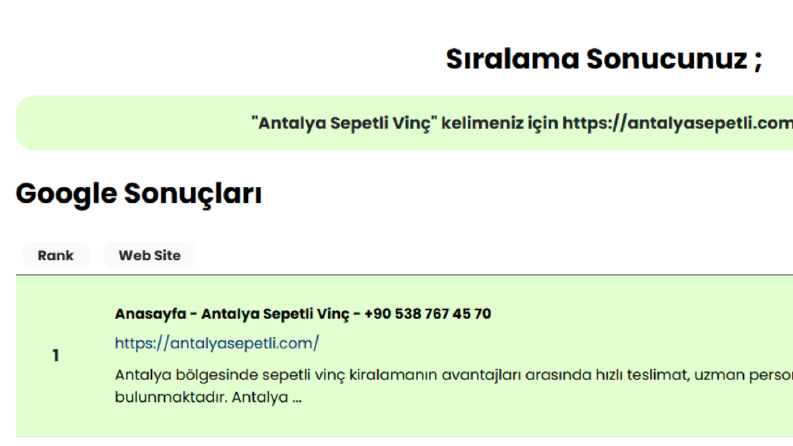 Antalya Sepetli Vinç