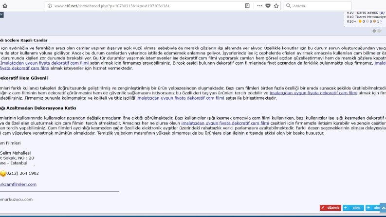 Arama Motoru Optimizasyonu (SEO)