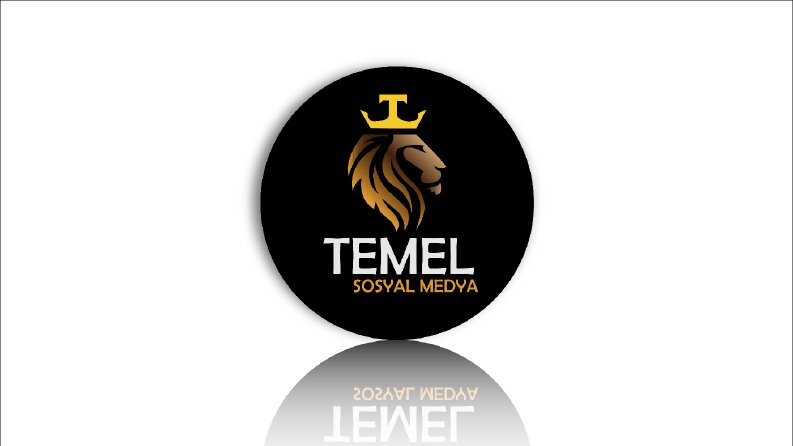 "Temel Sosyal Medya" Logo Tasarımı